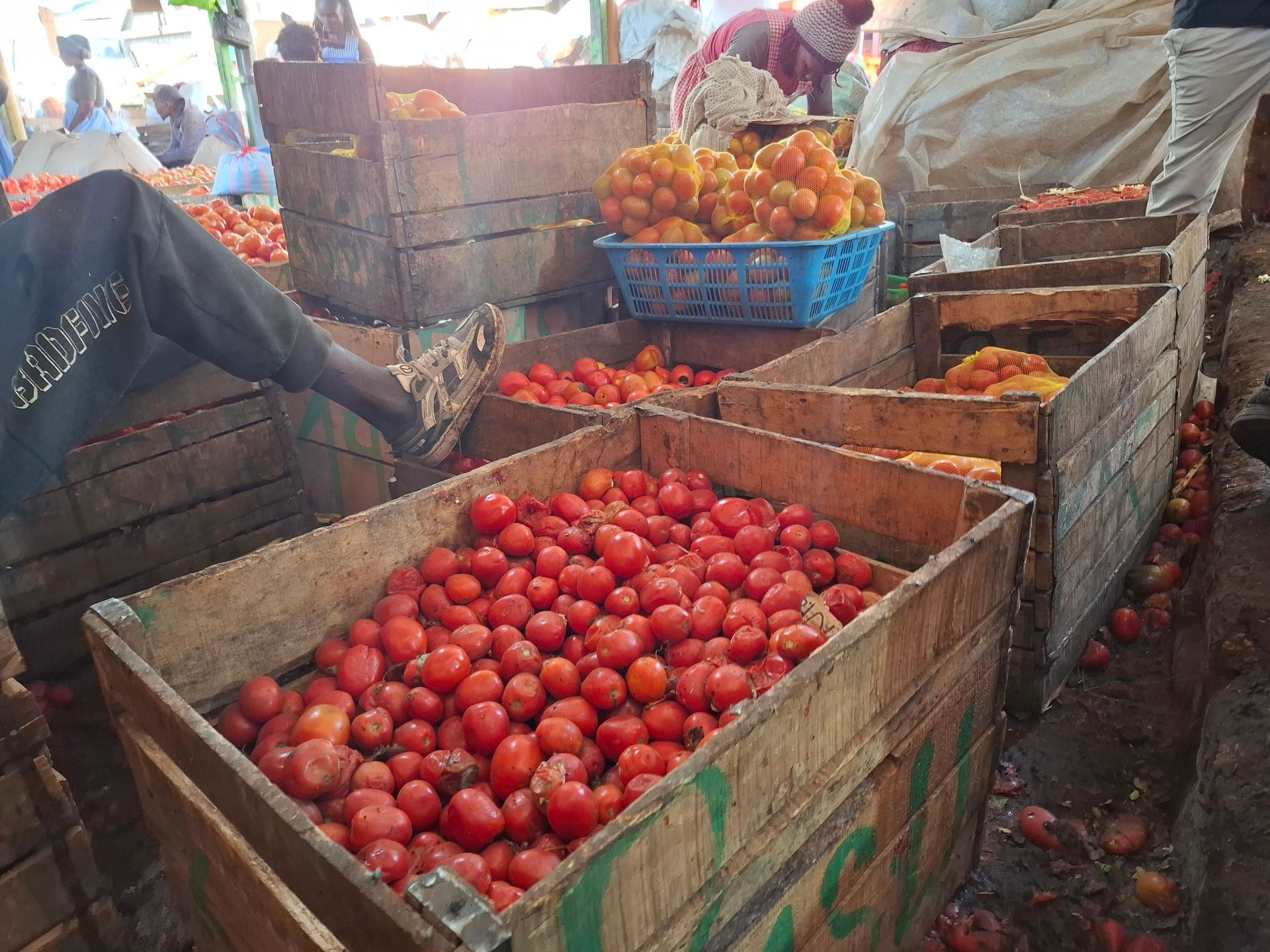 Rising cost of Potato, onions and tomatoes to stretch household budgets