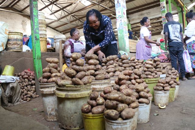 Maize and Potato production record significant drop in four years