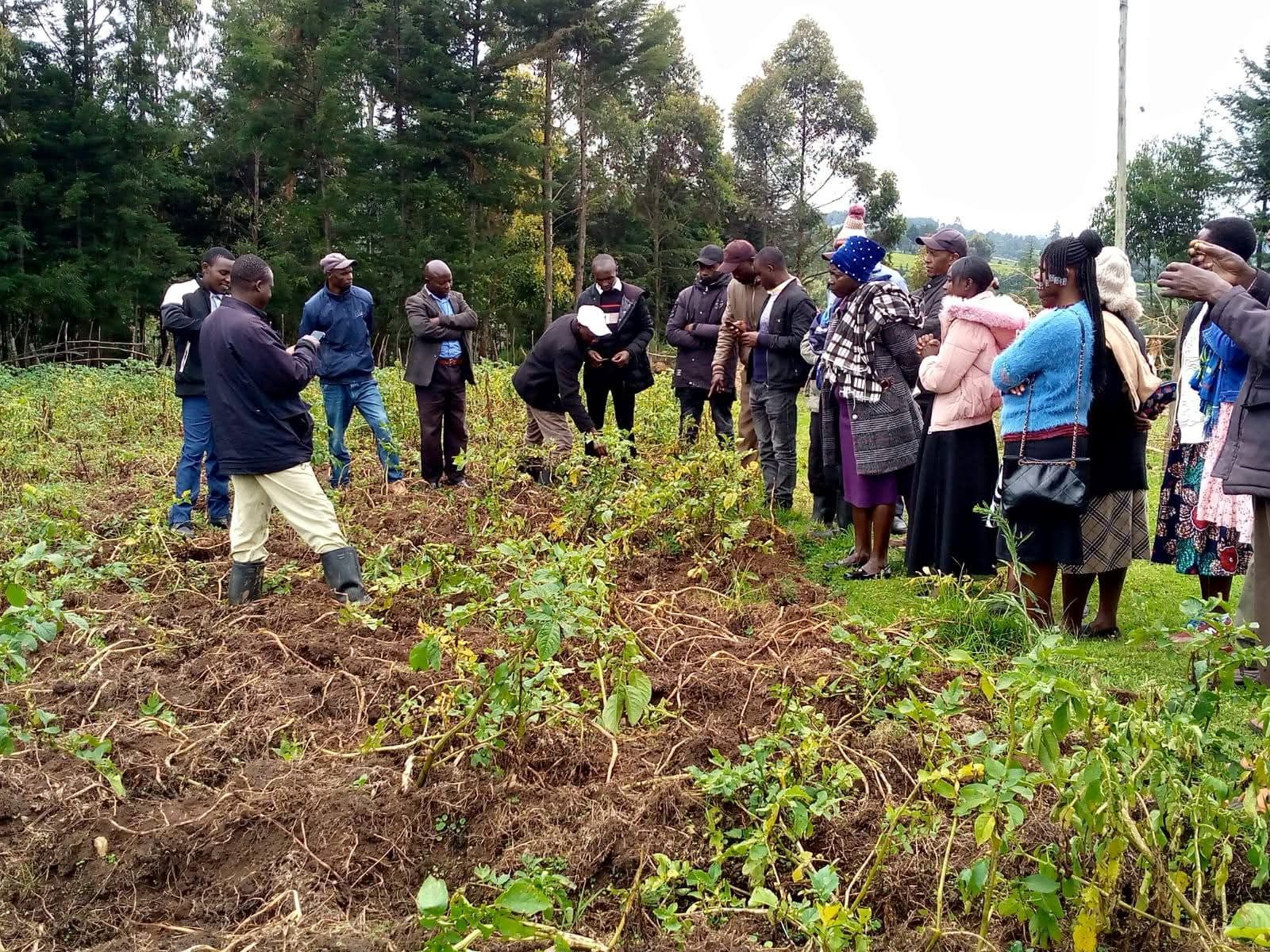 How a new agricultural extension policy could transform farming in Nakuru