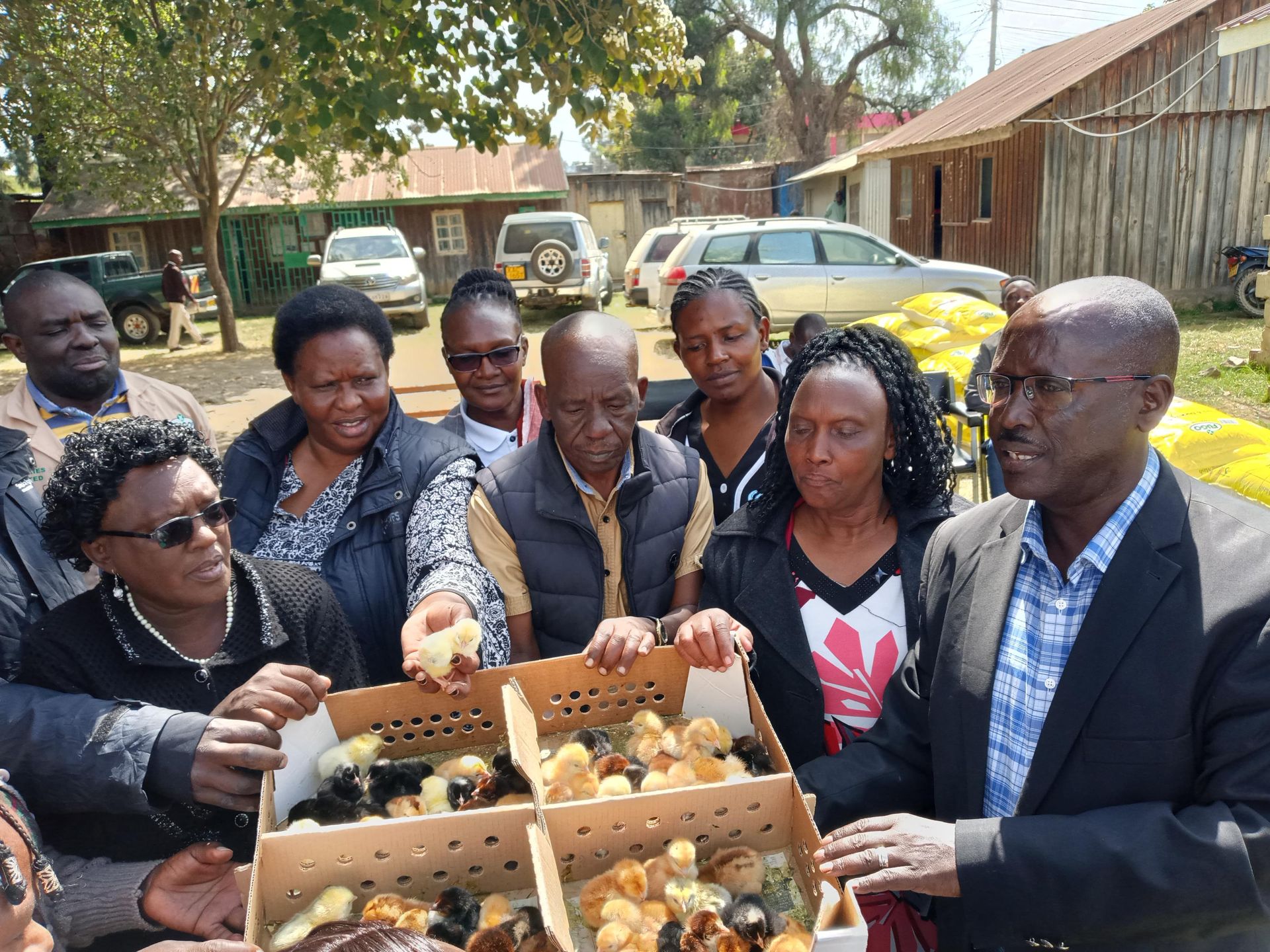 2,000 poultry farmers in four Nakuru wards to benefit from indigenous farming project